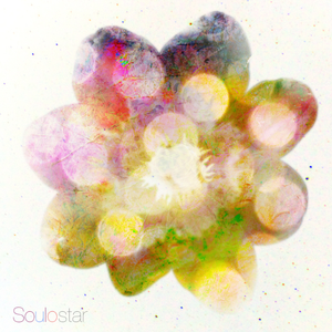 曰本肉体进入HDXxXXX
